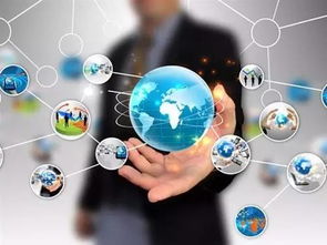 網絡賦能，智慧監管 新區農產品質量安全的新范式